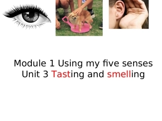 Unit3Tastingandsmelling