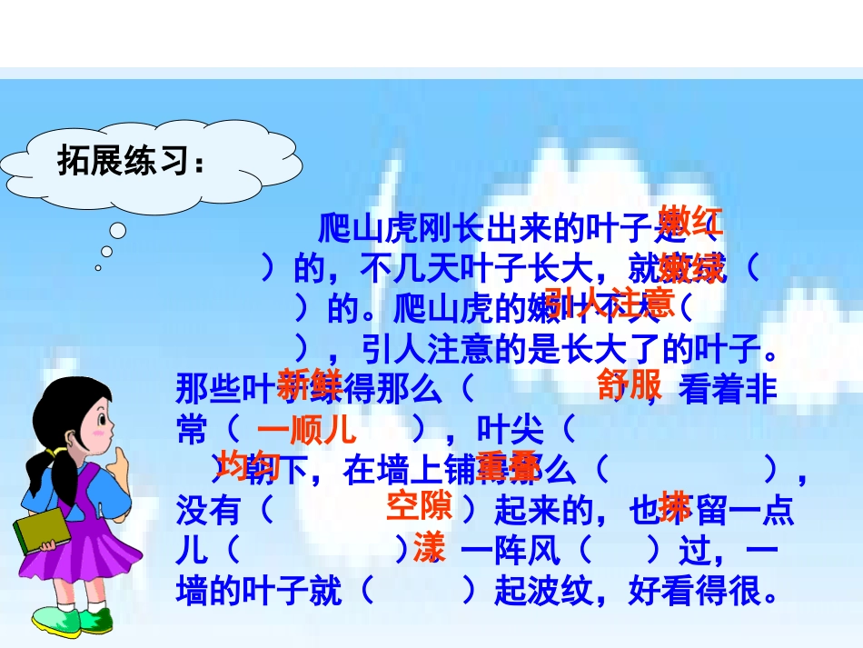 6.爬山虎的脚_第3页