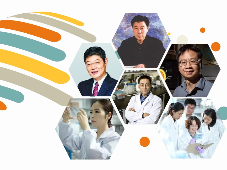 坚持国家利益至上-(2)_第1页