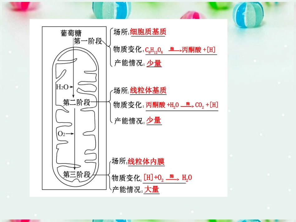 江苏省2013年高考生物-热点预测-2.2光合作用和细胞呼吸精品课件_第3页