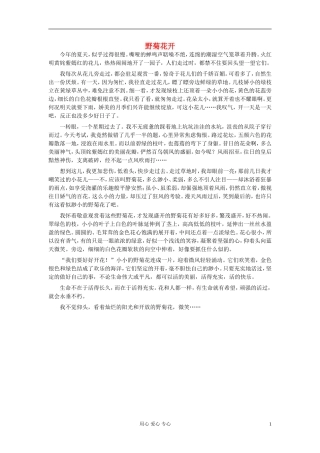八年级语文-野菊花开作文素材
