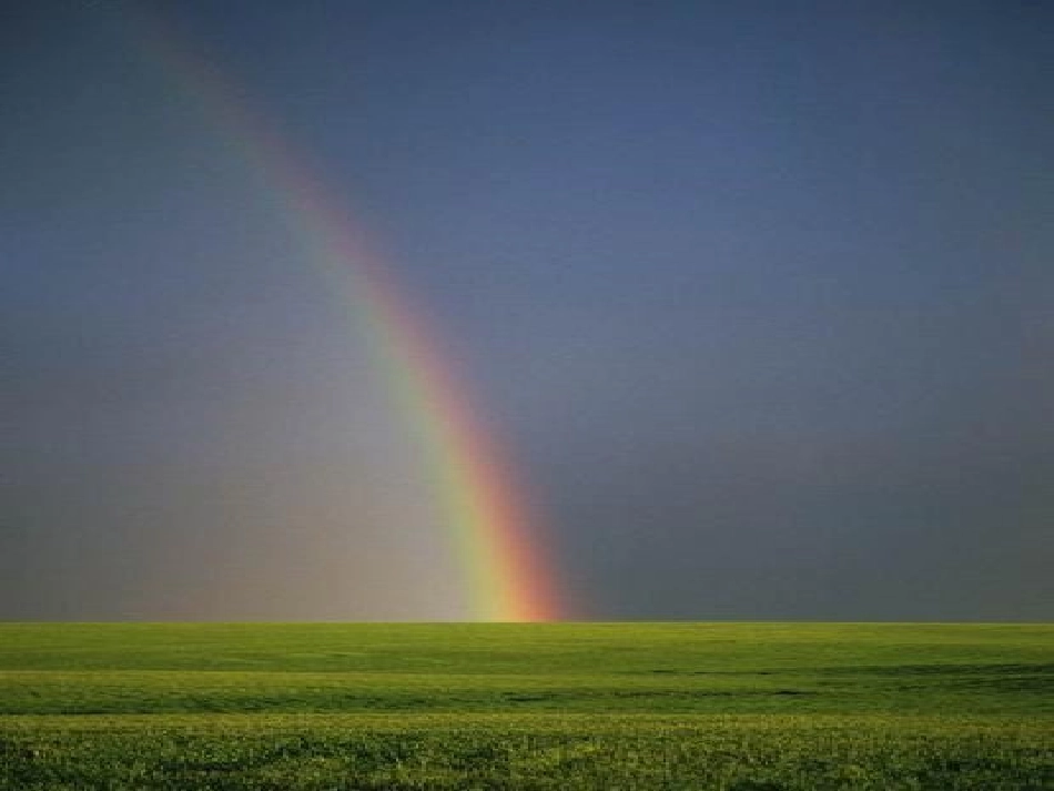 浙江省诸暨市暨阳初中七年级科学《光和颜色》课件(1)-人教新课标版_第1页