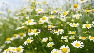 2.1.1函数的概念和图象