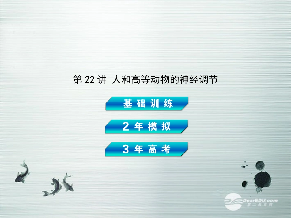 【3年高考2年模拟】2014高考生物总复习(基础训练+2年模拟+3年高考)第22讲-人和高等动物的神经调节课件-新_第2页