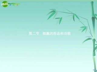 《金版》高中生物-第一单元-第二节细胞的形态和功能课件-中图版必修1