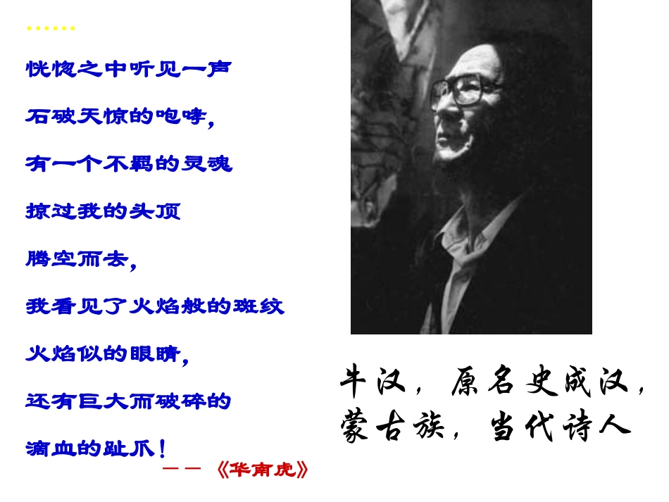 我的第一本书_第1页