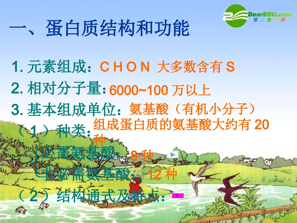 高中生物：第二章-第2节-细胞中的生物大分子(3)蛋白质课件苏教版必修1_第3页