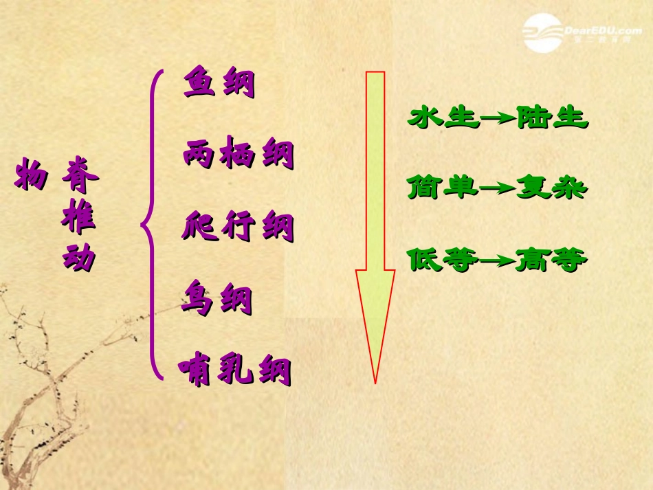 广东省珠海九中八年级生物《脊椎动物的主要类群》课件1-北师大版_第2页
