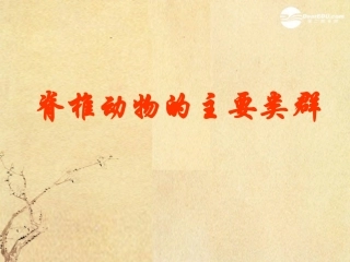 广东省珠海九中八年级生物《脊椎动物的主要类群》课件1-北师大版