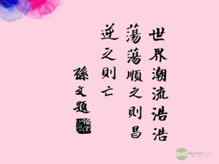 天津市葛沽中学八年级历史上册《第8课-辛亥革命》课件-人教新课标版