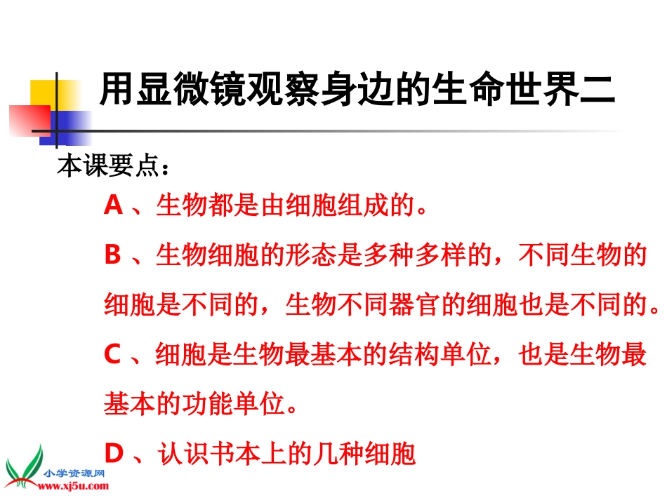 (教科版)六年级科学下册课件-6.用显微镜观察身边的生命世界(二)_第2页