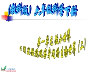 (教科版)六年级科学下册课件-6.用显微镜观察身边的生命世界(二)