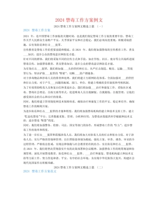 2024禁毒工作计划例文2篇