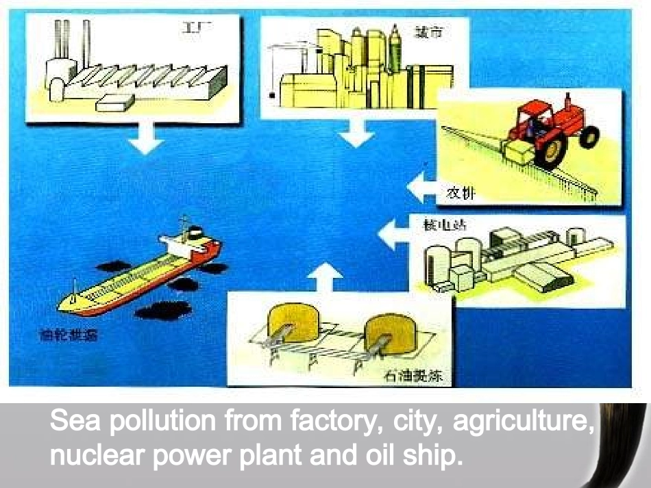 2010年高中英语-Unit7-The-Sea-Lesson-2-Protecting-the-Sea-课件2-北师大版必修3_第3页