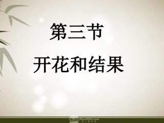 七年级生物上册-第三节-开花和结果课件-人教新课标版
