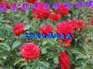 求一个数的几倍是多少