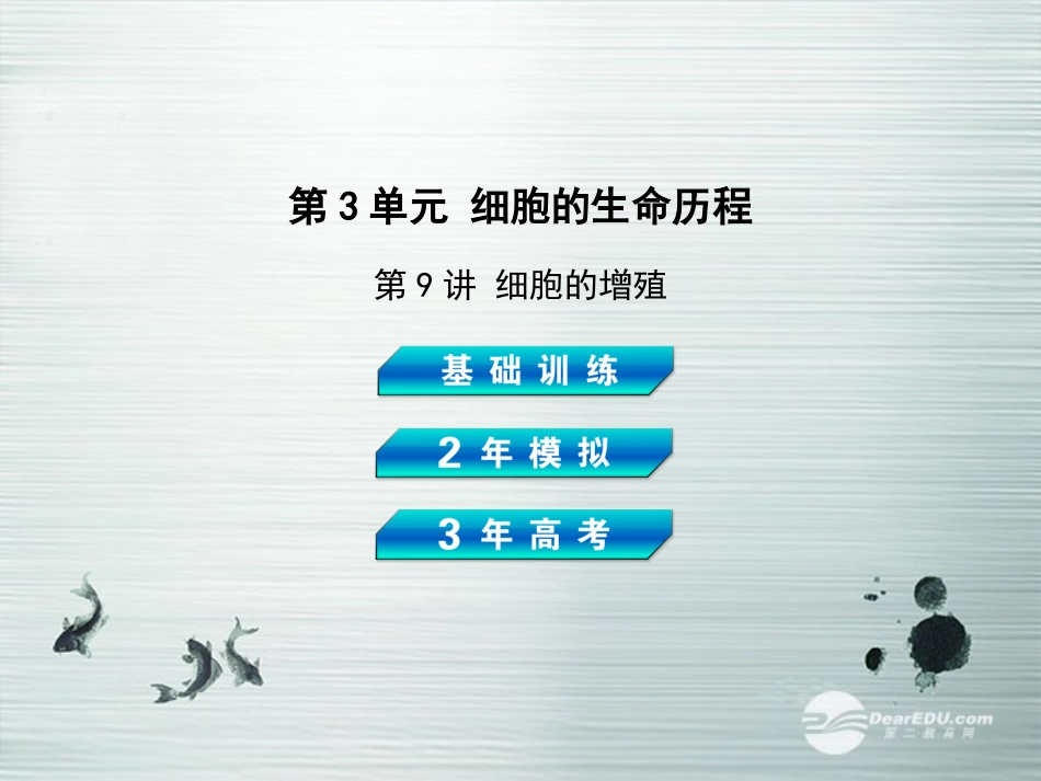 【3年高考2年模拟】2014高考生物总复习(基础训练+2年模拟+3年高考)第9讲-细胞的增殖课件-新人教版_第2页
