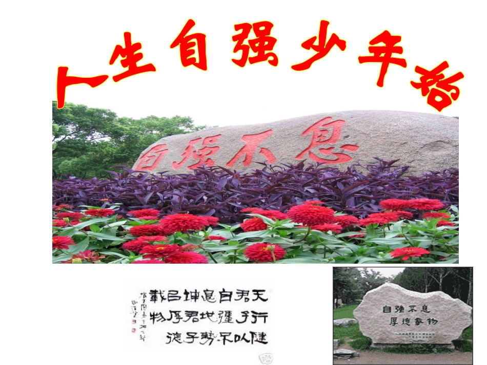 《人生自强少年(范彩丽)始》_第3页