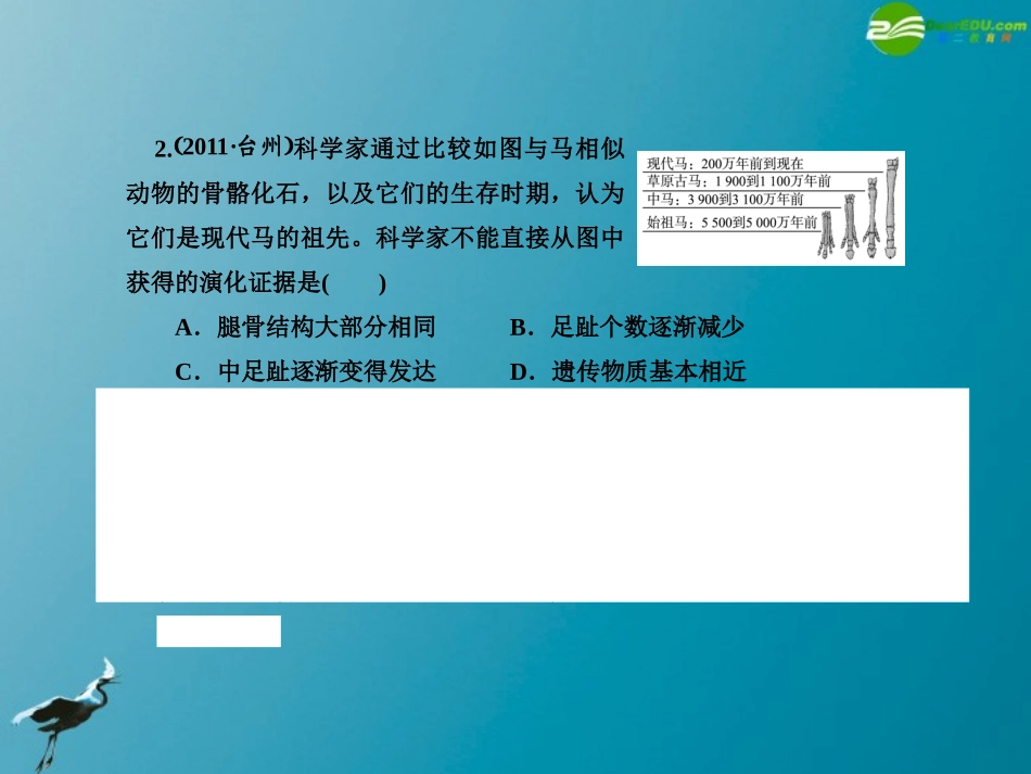 2012版中考科学-第九章-遗传与进化精品课件(含3年中考真题)-浙教版_第3页