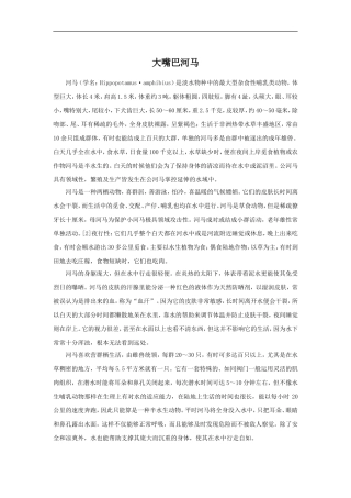 大嘴巴河马-(2)