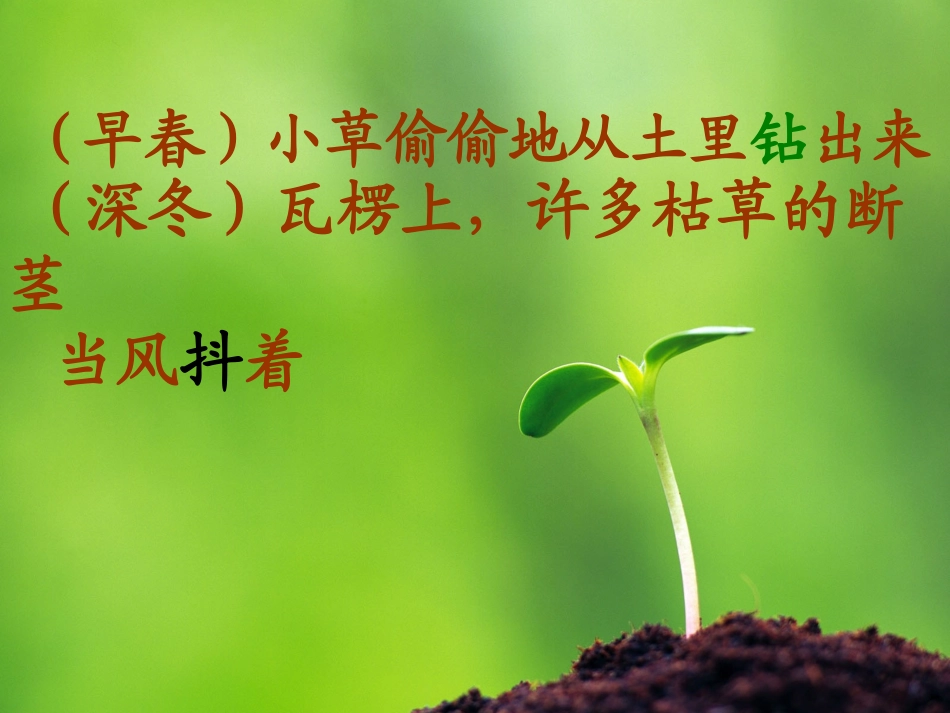七年级语文下册-《有趣的汉字》课件-鄂教版_第3页