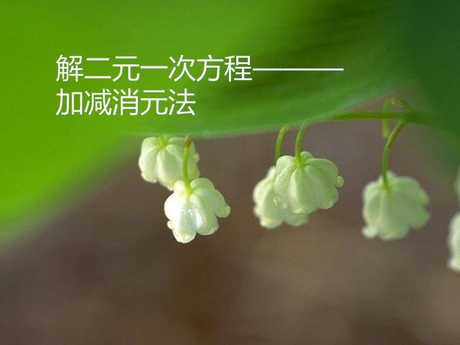 解一元二次方程_第1页