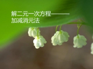 解一元二次方程