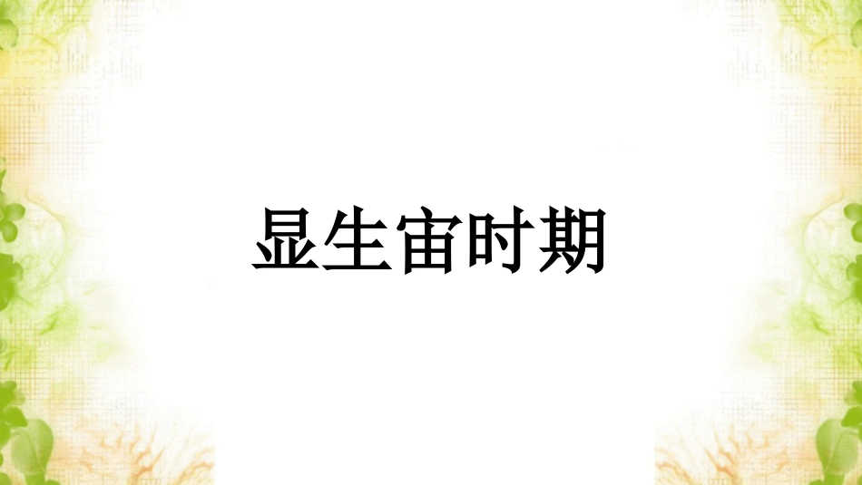 《显生宙时期》课件_第1页
