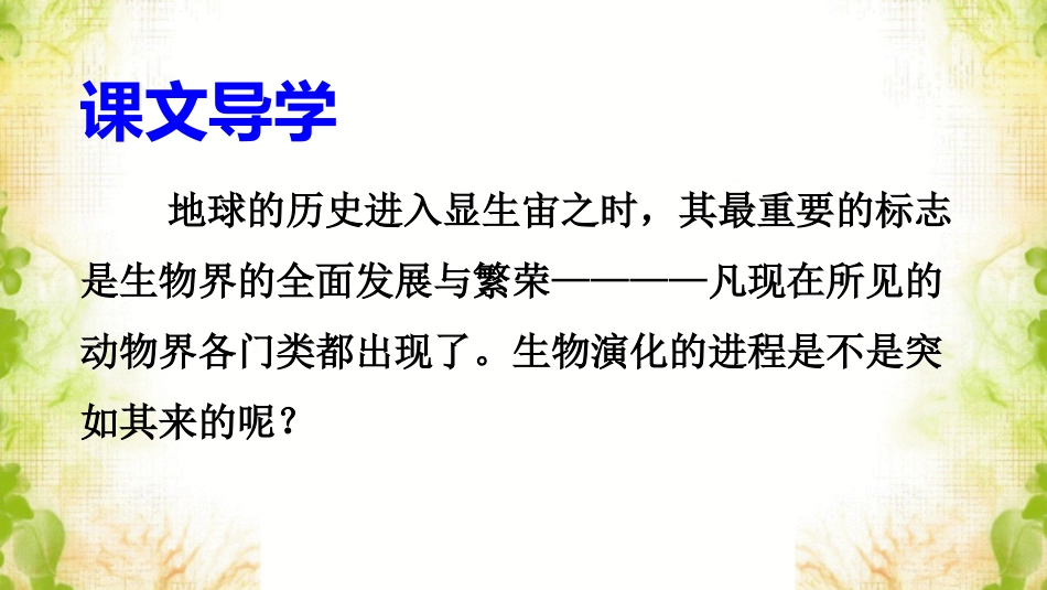 《显生宙时期》课件_第2页