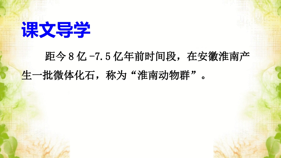 《显生宙时期》课件_第3页