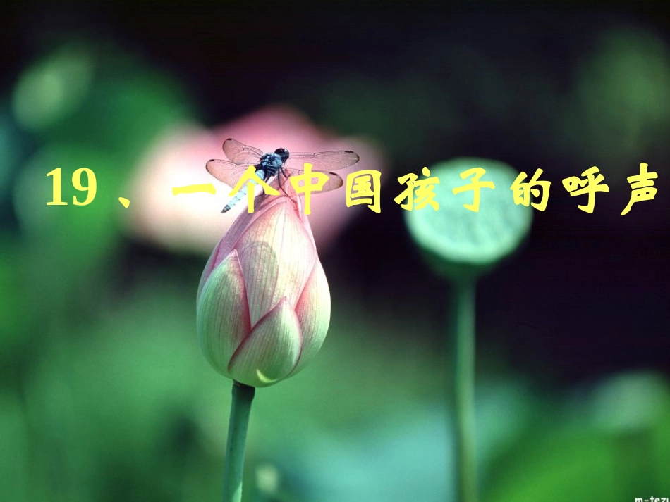 一个中国孩子的呼声完美版PPT_第1页