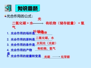 3.5.2-绿色植物的呼吸作用