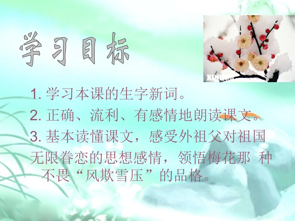 《梅花魂》课件_第3页