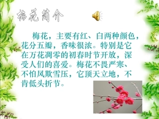 《梅花魂》课件