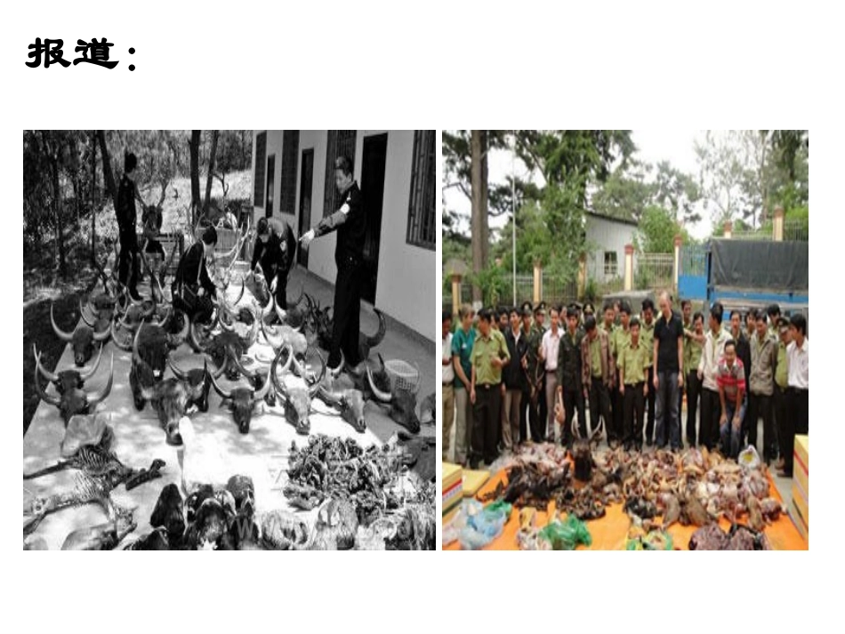 第五单元第三章动物在生物圈中的作用_第1页