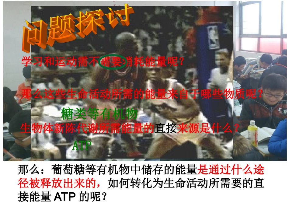 第四节细胞呼吸-(4)_第2页