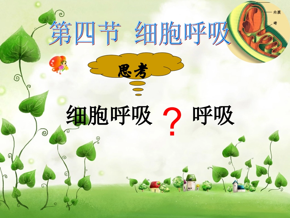 第四节细胞呼吸-(4)_第3页