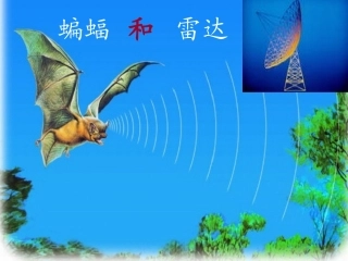 蝙蝠和雷达课件PPT下载-人教版新课标四年级语文下册课件