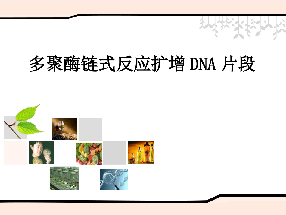 课题2-多聚酶链式反应扩增DNA片段_第1页