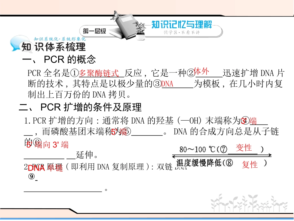 课题2-多聚酶链式反应扩增DNA片段_第3页