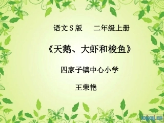 9天鹅、大虾和梭鱼