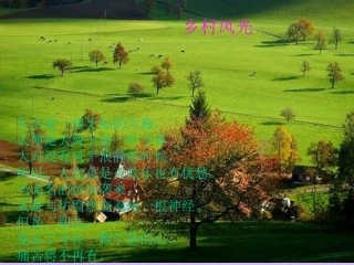 七年级语文下册-《罗迦诺的乡村》教学课件--冀教版