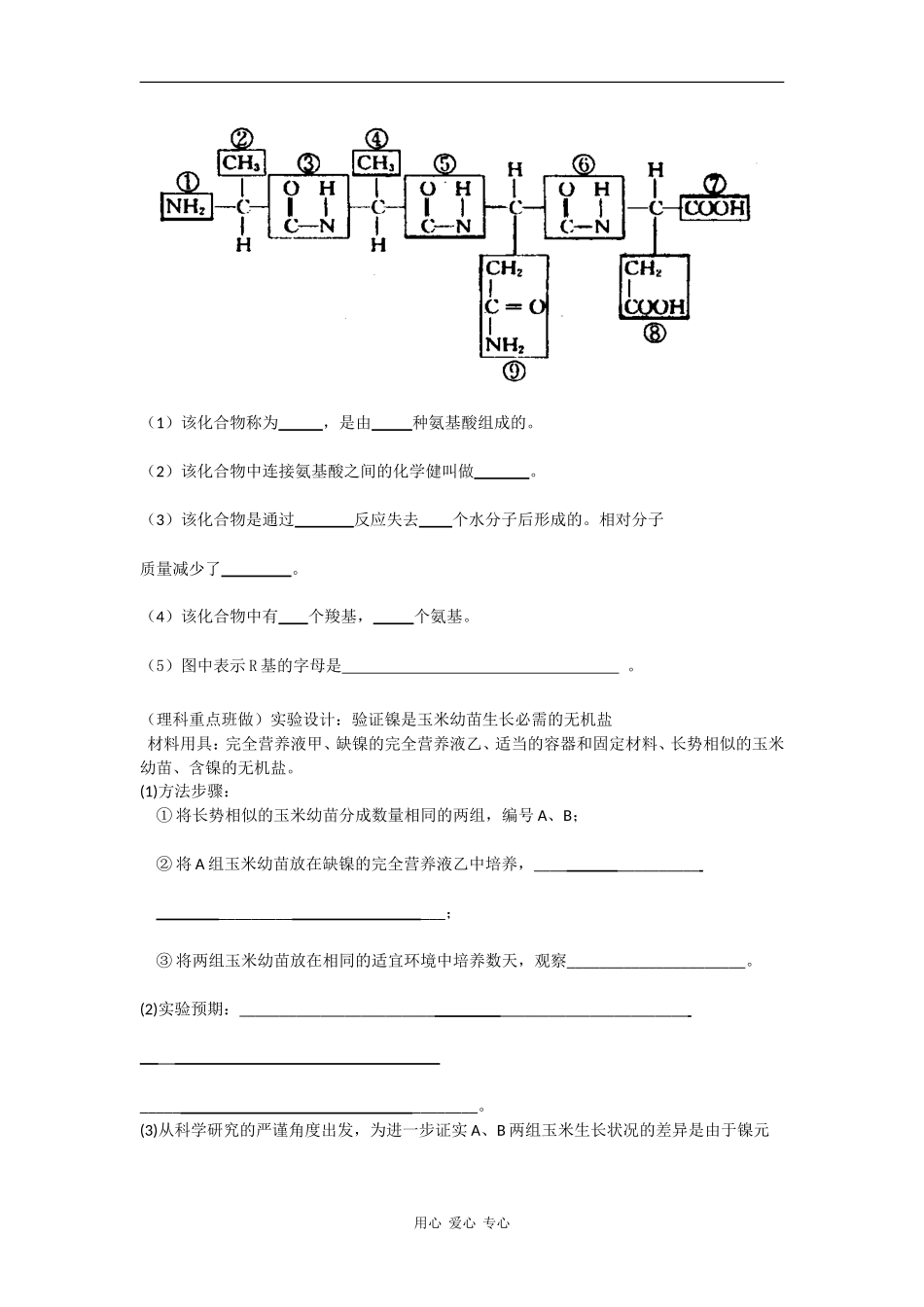 高中生物：1《细胞的分子组成》试题-浙科版必修1_第3页