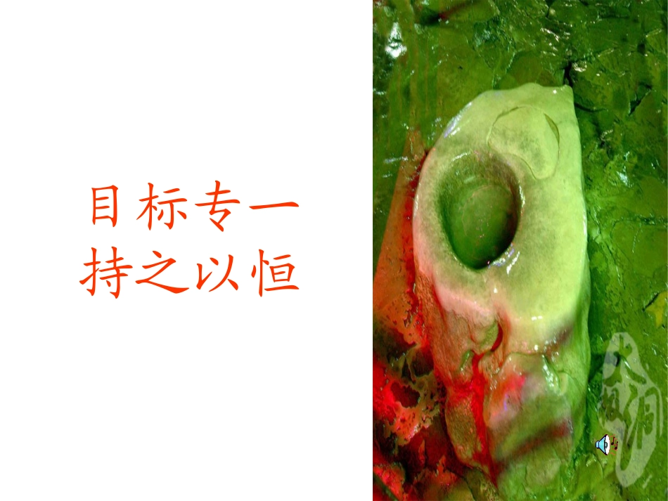 滴水穿石的启示2_第3页