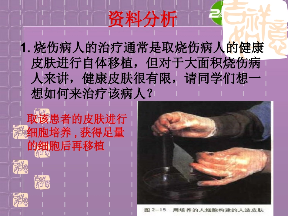 高中生物-动物细胞培养和核移植技术2课件-新人教版必修3_第1页