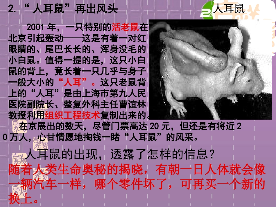 高中生物-动物细胞培养和核移植技术2课件-新人教版必修3_第2页