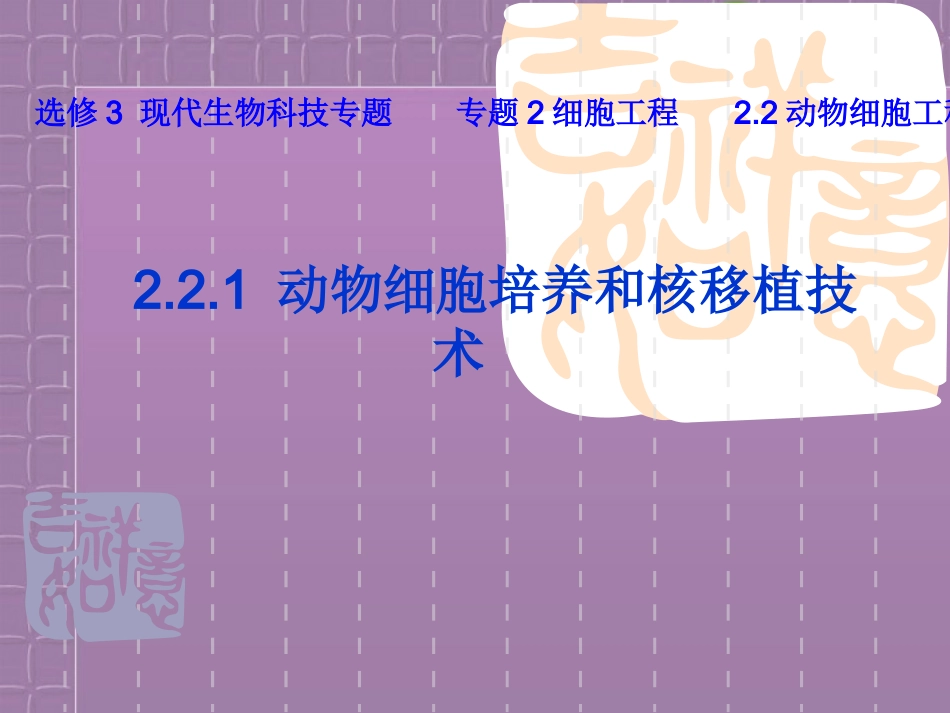 高中生物-动物细胞培养和核移植技术2课件-新人教版必修3_第3页