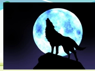 高中语文-《像山那样思考》精品课件-苏教必修1