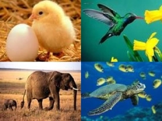 七、情趣的雅与俗