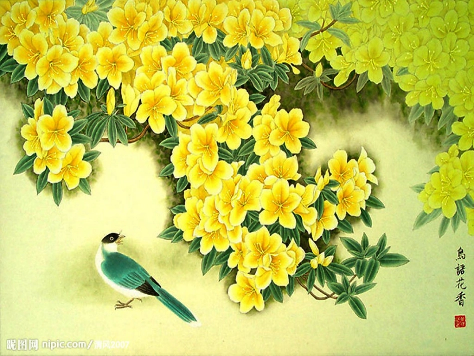 21.鸟语花香_第3页